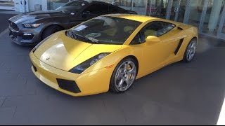 Pranked!!, Car Hunt