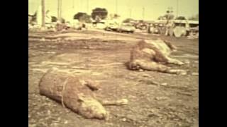 Teton Dam Flood Documentary 'One Saturday Morning'