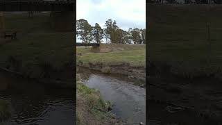 ARROYO INDIO RICO!#provinciadebuenosaires #campoargentino