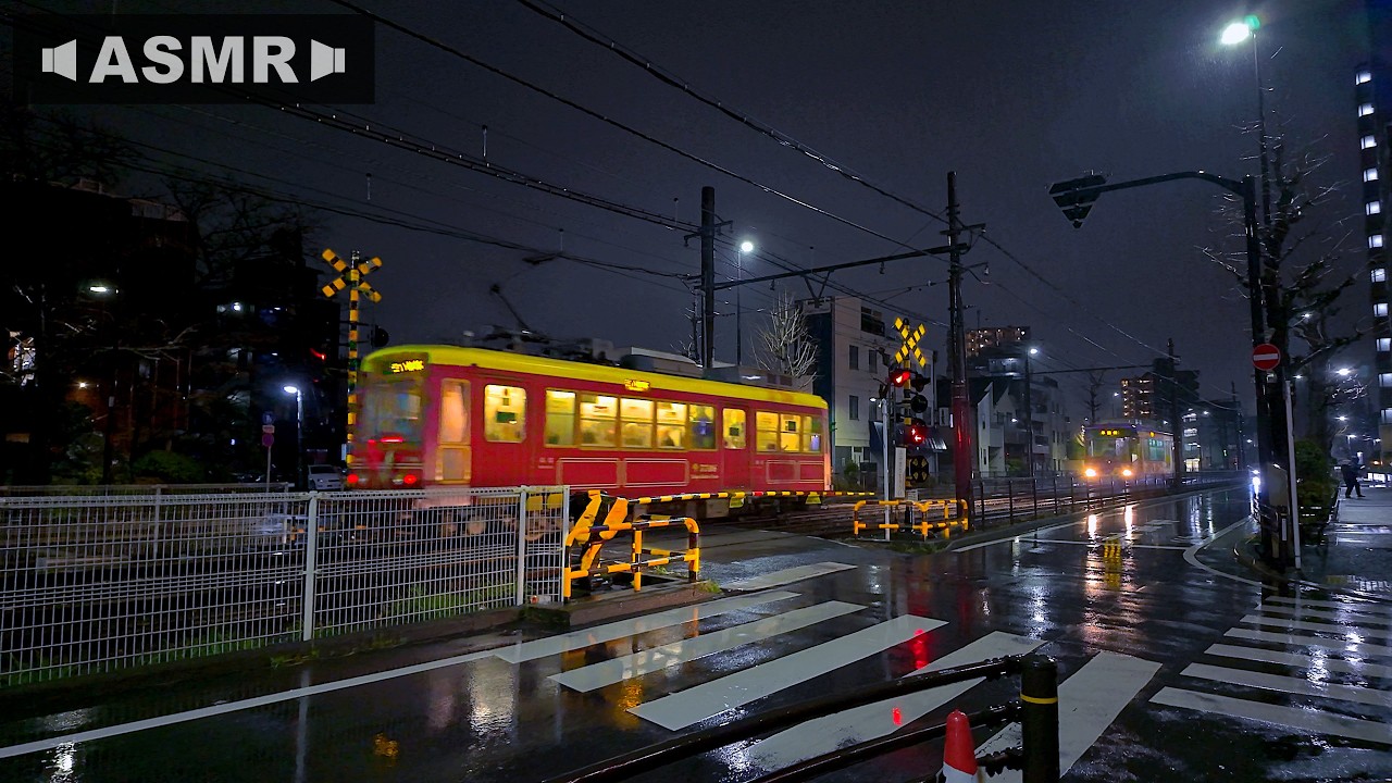 [ASMR] Прогулка по узким улочкам Токио в холодную дождливую ночь в марте | Япония 4K HDR