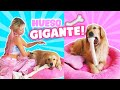 24 HORAS CONSINTIENDO A MI PERRITA!! 🐶💕👑  | Katie Angel