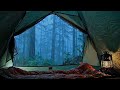 Rain on Tent Sounds for Deep Sleep | Nature White Noise Camping Ambience 🌧️