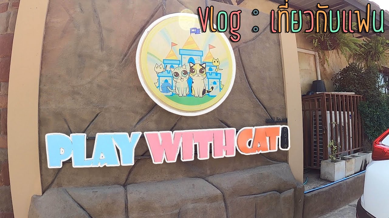 Vlog play  with cat  cafe    YouTube