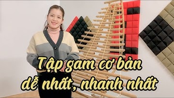 Học đàn t’rưng bài tập gam cơ bản đơn giản, dễ chơi.