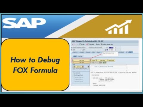 How to debug FOX formula with SAP Standard Method | FOX formula debugging for SAP BW IP or HANA BPC