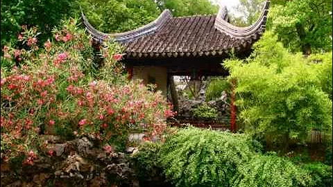 feng shui office ideas