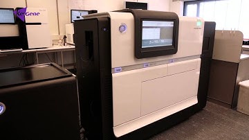 Whole genome profiling - superior plant genome assembly