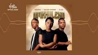 Msongi Naledi Aphiwe U0026 Jl Sa  Umkhuleko  