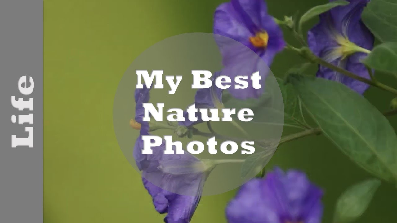 My best nature photos so far