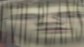 Germs but every time they repeat a word it loops