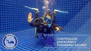 How to Do a Controlled Emergency Swimming Ascent 🤿 PADI Divemaster Skills