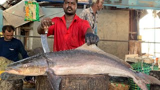 KASIMEDU 🔥 15KG GIANT COBIA FISH CUTTING VIDEO | 4K VIDEO | KM FISH CUTTING | IN KASIMEDU
