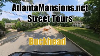 Atlanta Mansions Street Tours - Buckhead&#39;s King and Pineland Roads