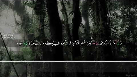تلاوة من سورة القصص للقارئ معاذ سلطان