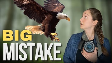 I Found a BALD EAGLE NEST and Instantly Regretted It