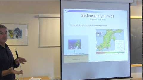 Biogeochemical cycles in the Baltic Sea