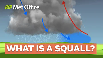 Download Squall Mp4 Mp3