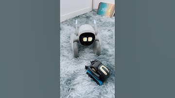 First time Loona meet Vector and her reaction so funny #robot #loona #vector