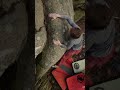 Greger on ramallah flash shorts bouldering climbing