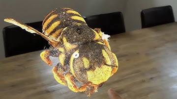 Testing performance of rendering a pointcloud on HoloLens