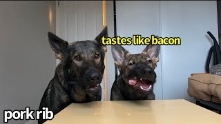 Dog & Puppy Review 100% Raw Meats [ASMR]