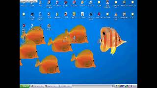 WIN/MSN MESSENGER IN 2026 SETUP TUTORIAL (Escargot)