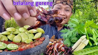 BELALANG GORENG KRIUK + BATANG PEPAYA MENTAH JENGKOL MUDA SAMBAL TERASI || PANEN BELALANG SAWAH