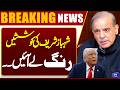 Ceasefire Declared | Shehbaz Sharif Victory | Big News From US | Breaking News