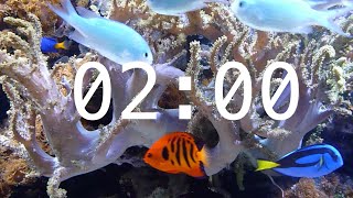 2 Minute Aquarium Countdown Timer |  Ocean Timer | Fish Timer | Relaxing Music