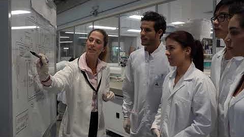 Health & Safety Training [Onsite, Online and On Zoom]