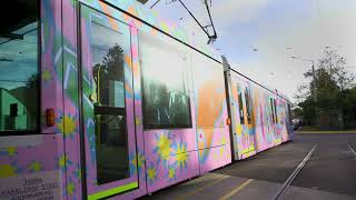 Art Trams - Jarra Karalinar Steel