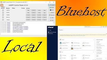 How to Move a WordPress Website from Localhost to a Live Server Using CPanel (Bangla Tutorial)