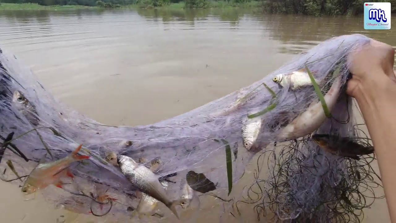 ลงข่าย 4 เซนฯเช็คหมายก่อนน้ำจะท่วม