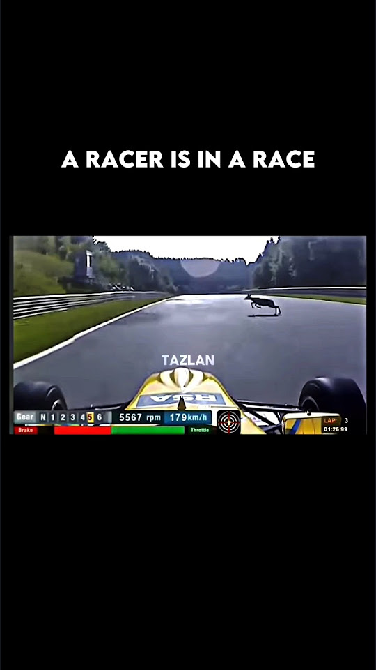 Racing Car vs Deer . shorts troll Tazlan YouTube