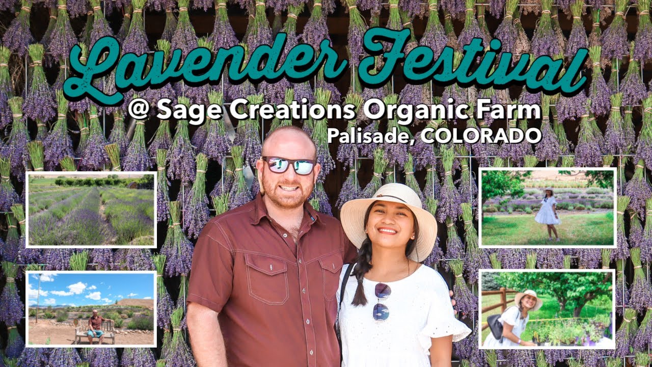 LAVENDER FARM FESTIVAL Lavender Farm Tour at Sage Creation Organic