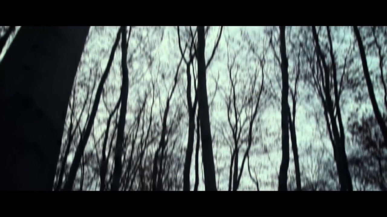 Zeitvertrieb - lights with insects feat. Christian Schuster