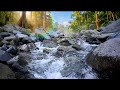 🍀 Fantasy Music, Celtic River, Magical Ambience, Relaxation, Nature Sounds 🌊 Enchanted Valley #music