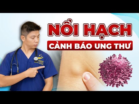 Video: Cây bạch dương có mọc ở Idaho không?