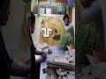 Transforming Spaces, Creating Art 🏡 | Interior Design Student Projects | Srimati Techno Institute.