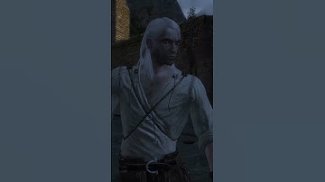 The Witcher tried and failed to make a good combat system.