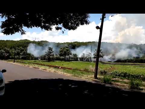 Bombeiros combatem incêndio em mata perto de hospital e creche