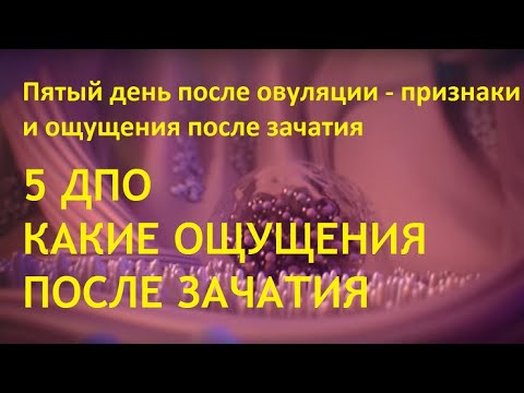 🔔5-й ДПО. Что происходит на 5 день после овуляции. 🤰🏻Какие симптомы и признаки в успешном цикле