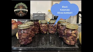 Bottling the black Kalamata olives