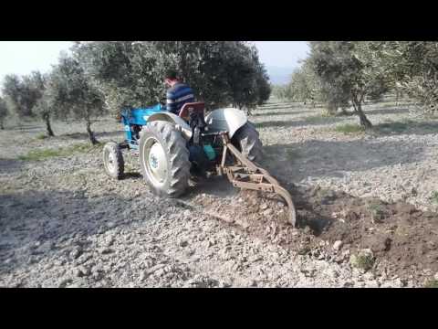 Ford 2000'le zeytin tarlası sürmek