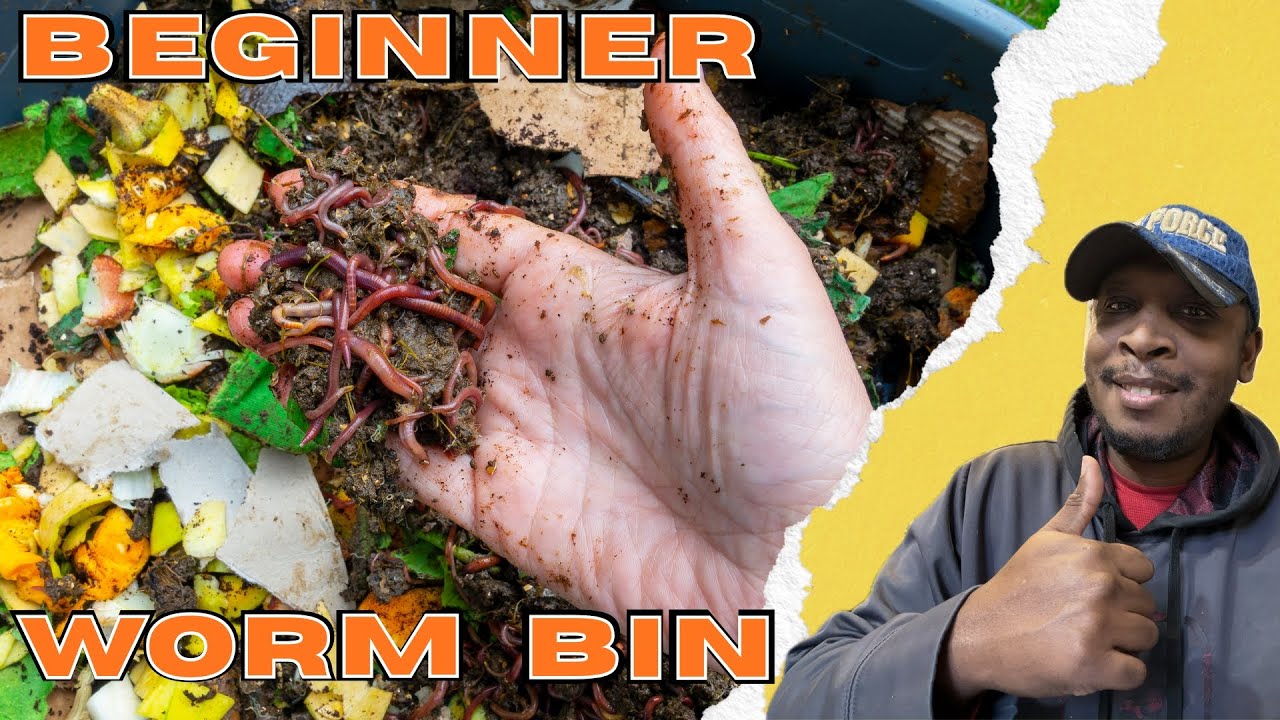 Простой контейнер для вермикомпостирования для начинающих | Вермикомпостирование в одном контейне...