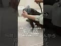 “重度の皮膚病”を持つ『愛犬』...。