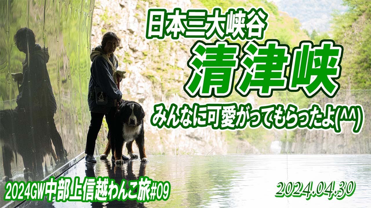 大型犬の車中泊旅／たくさん声をかけてもらいましたー(^^)シルエットと鏡面トンネルと柱状節理の渓谷美／中部上信越わんこ旅（その9）清津峡／2024GW#09／大型犬散歩