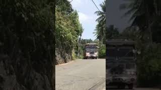 anura bus beautiful bus srilanka තාල_රටා holifestival kandy vehicles perad privetbus 1k