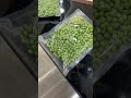 #amazing #factory #works #satisfying