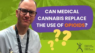 Can Medical Cannabis Replace the Use of Opioids?
